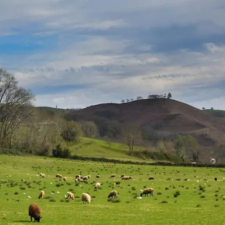Maison Au Coeur Du Pays Basque *